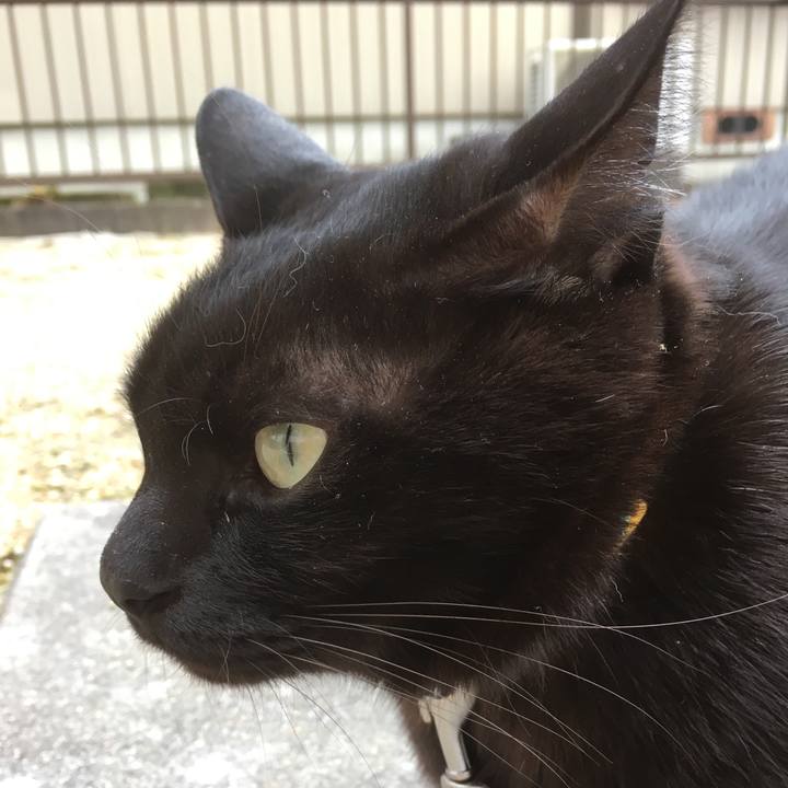 43c1aaab 85cc 47aa 969b ba8173eb4be3 1512013386435