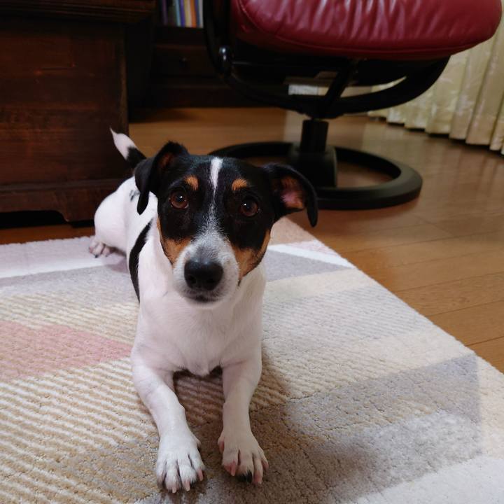 43c1f82d 8957 4cac 946c ff89f395635a 1661863811203