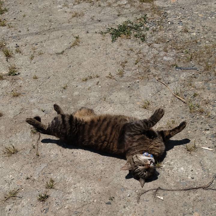 43c2240a a71d 4494 bfc8 2595dd82fec0 1687145961321