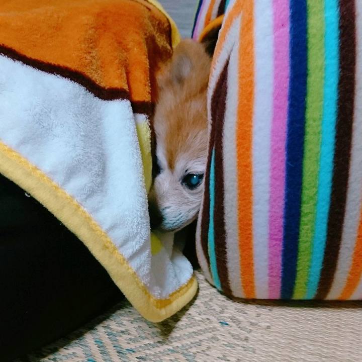 43c23758 81de 4de1 bbc2 a7c803b5e9b0 1575333838050