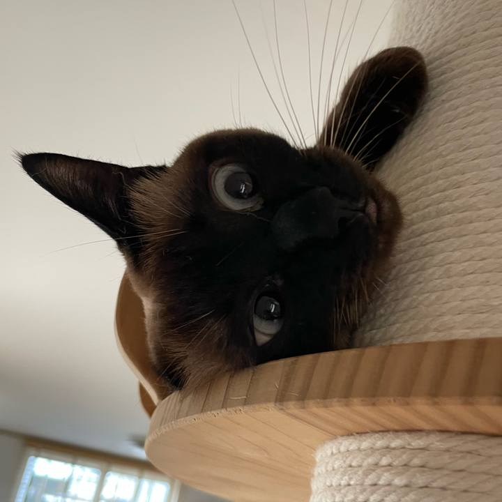 43c23eb4 3d6b 45a1 852f bb915e72ef9c 1749159585752