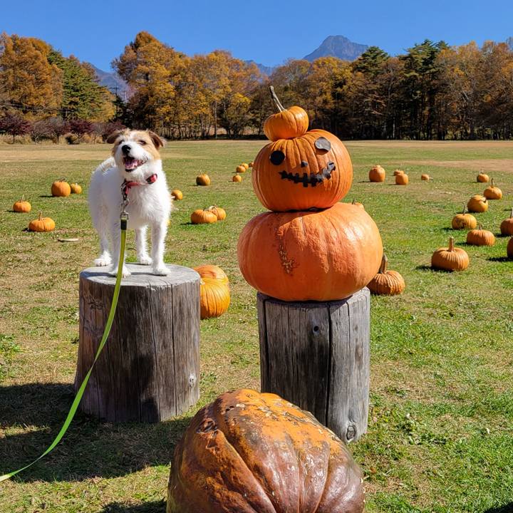 43c242ac 48b8 4e27 af69 8d56a5a13547 1698984939017