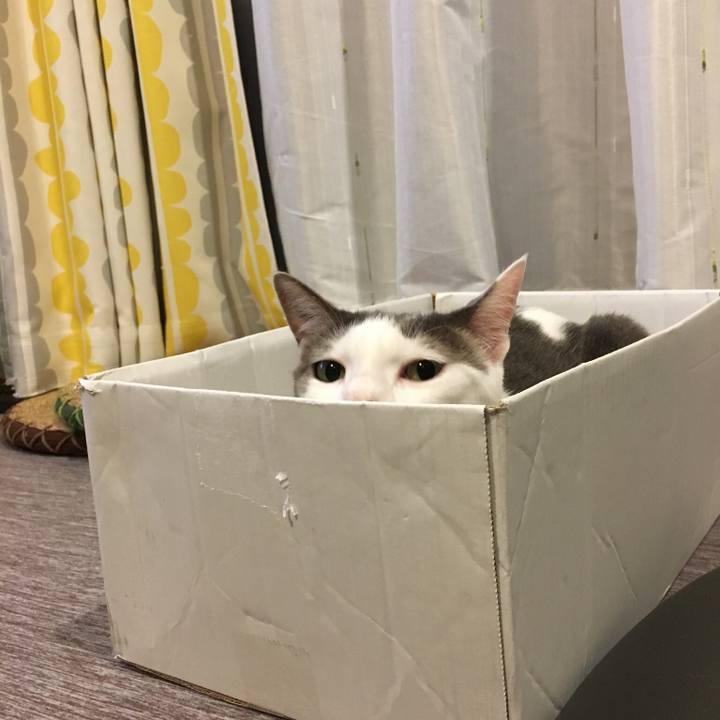 43c25863 982a 4198 8385 b5c7d66e9a19 1534456231200