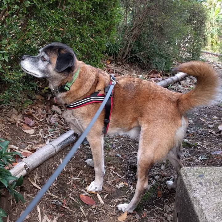 43c26f4e 5582 4e0b 826a ef2fcf760fb3 1511309655177