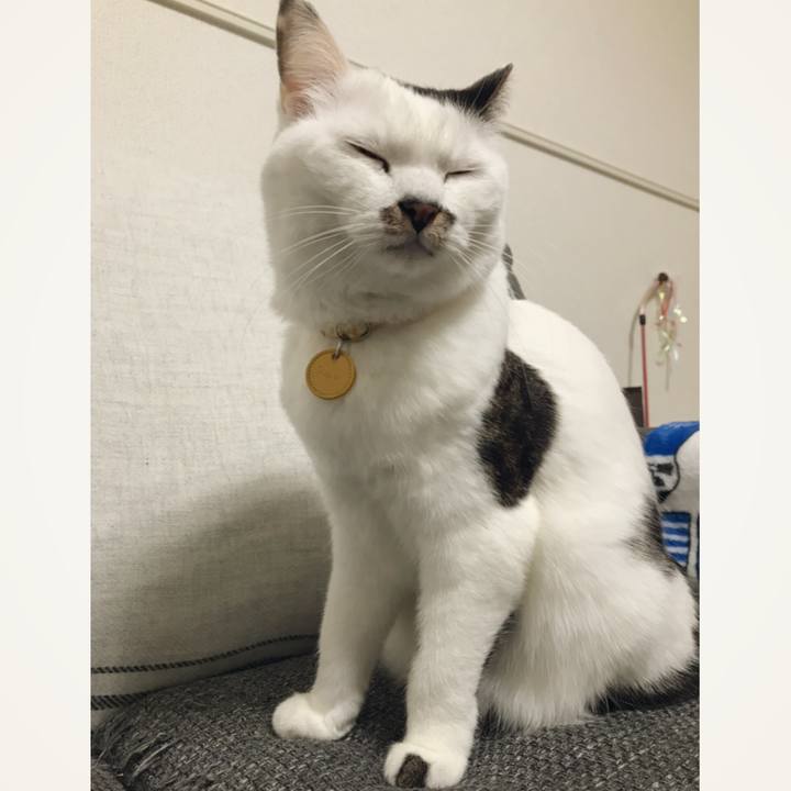 43c28937 5c37 48a2 bcbb b58dccb0e5c1 1548904522529