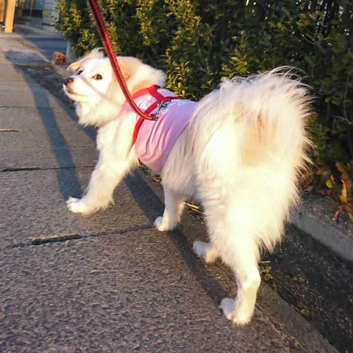 43c29a23 66dc 4cd8 924a 97fb4ba39f6d 1520027540989