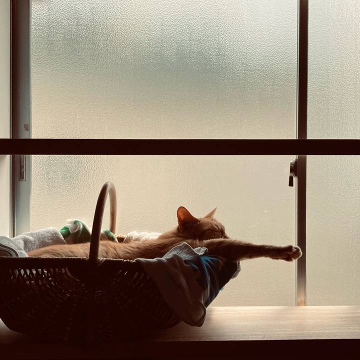 43c2d525 a318 4183 9638 8f3e7071ee6f 1683088135301