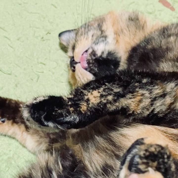 43c30b76 98e4 4453 9f5e 3c9ef98fb705 1730539334756