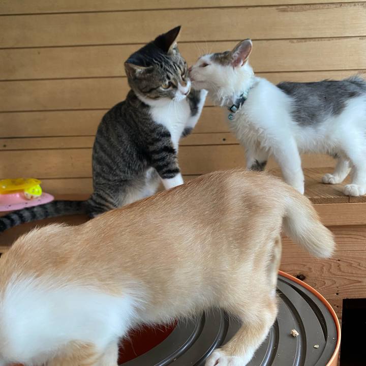 43c3412f 7cb8 40c7 8e84 1f17b2adb6fd 1632282076294