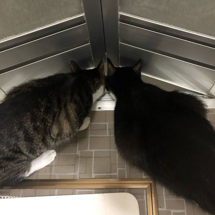 43c3420a 1040 465a beea e9f05aff48c0 1566848569250