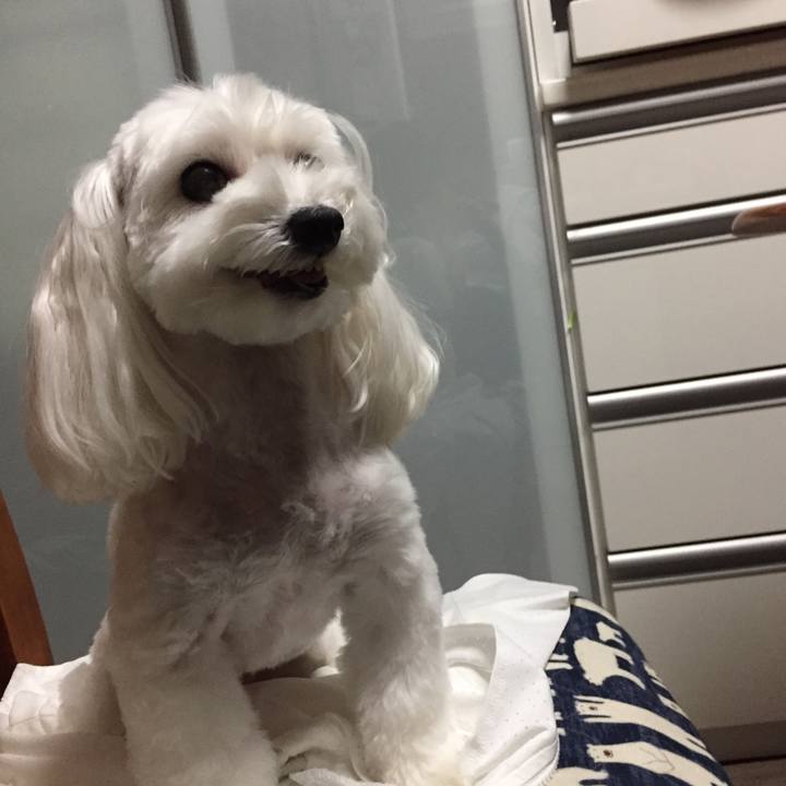 43c342e3 487a 45f7 a627 6d9470b32c24 1539259119854