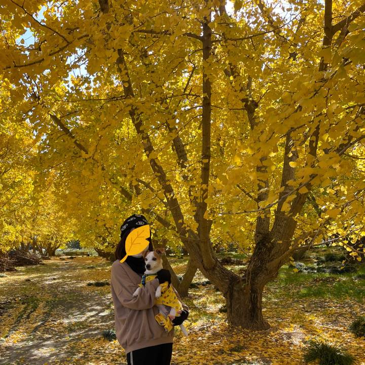 43c38e7d 3407 48d0 82eb 6213f83c55c5 1637919265261