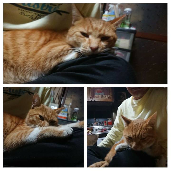 43c3b205 6b20 4995 aaee 3688583aff09 1603187339998