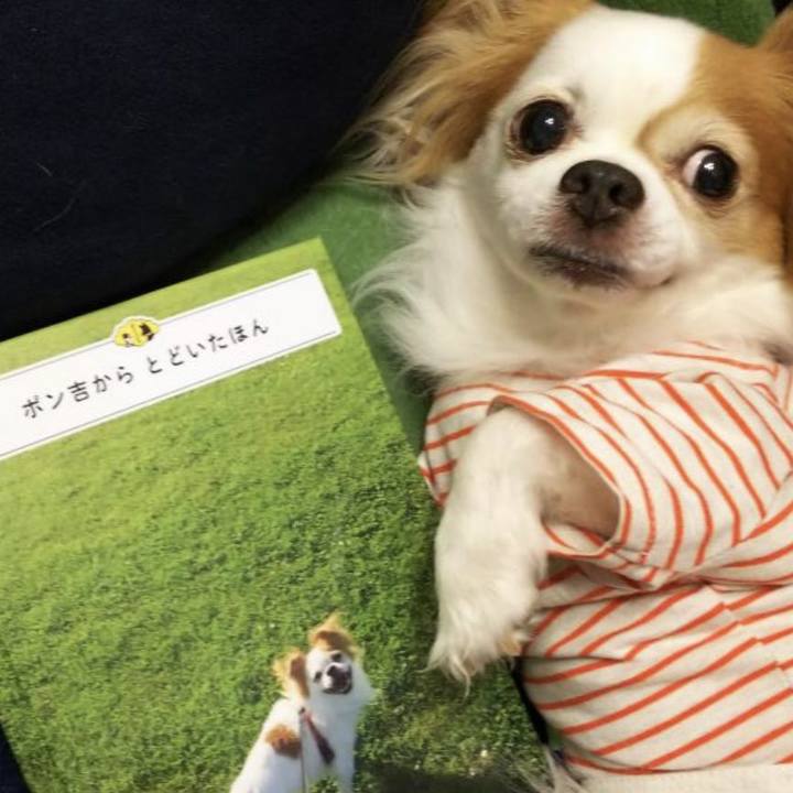 43c3e75e 21e1 41be b255 ced349480ca0 1685773615510