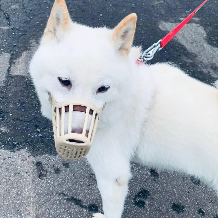 43c3fae9 a18f 4968 a32c 3d7ea8f44226 1592344341556