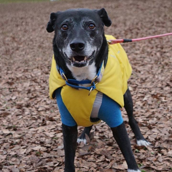 43c402cd e8d5 464f 9f28 507ecc54d5c5 1767745354062