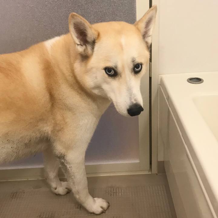 43c45b2a c8d1 4f16 abc4 a41edcbc2a9a 1517218859019