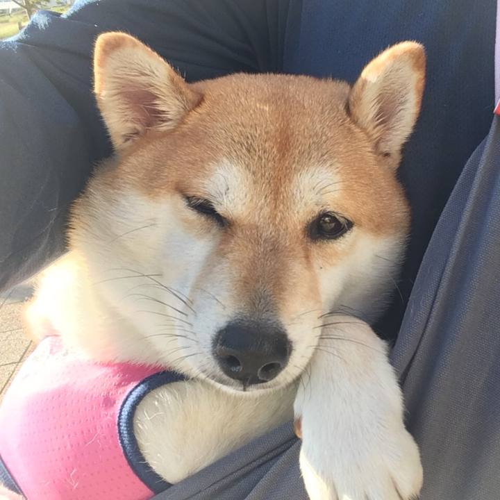 43c477e3 727f 4e80 991e c4823077ba82 1538170755954