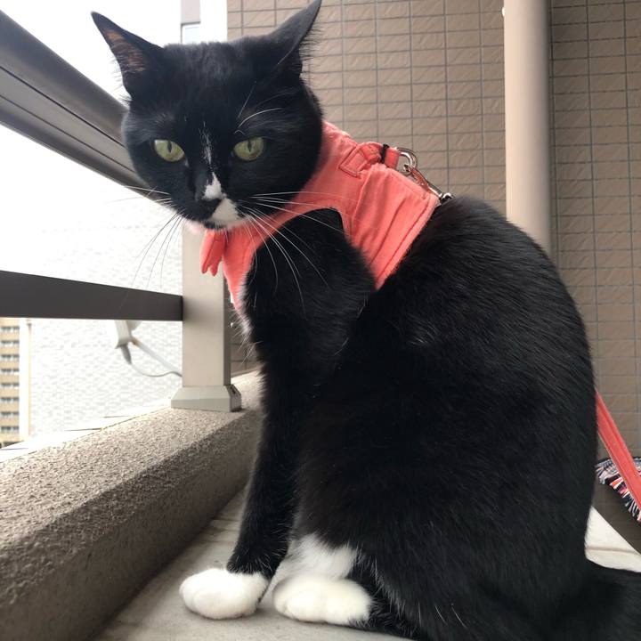 43c47ee6 92fa 4f9e ba35 fe0342764d54 1562534876568