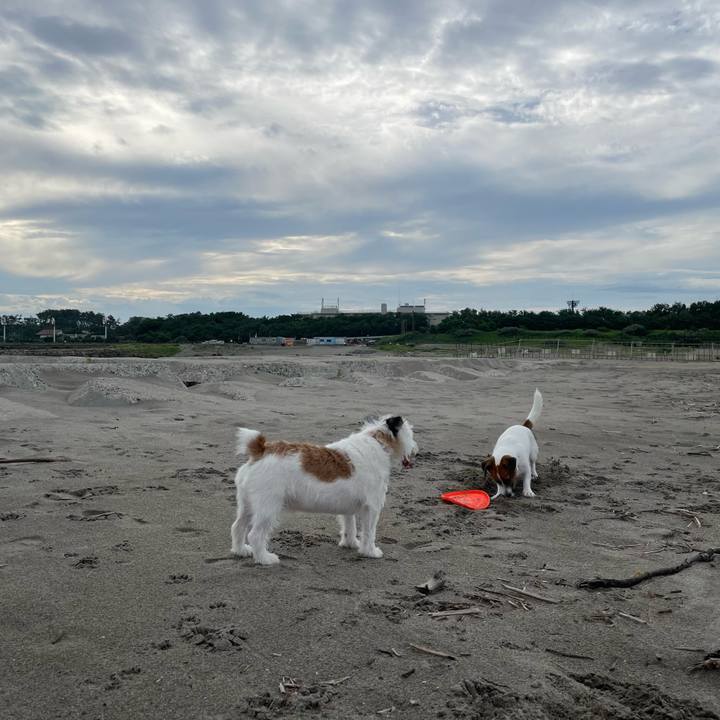 43c49633 020a 465a 881c f50f34e2451b 1660606546500