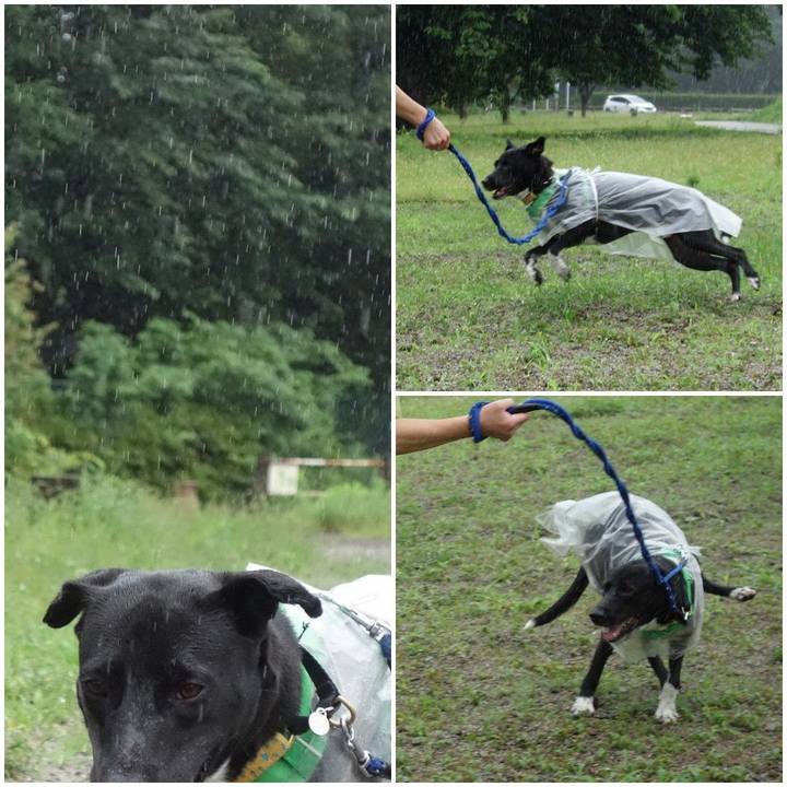 43c4ab07 0d7d 401d aa11 59dc4be24b66 1594768348746