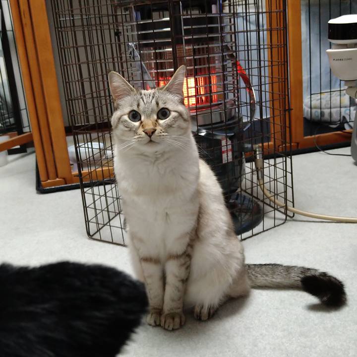 43c4ab44 4080 4f46 872e e9d76f8634e4 1638962132206