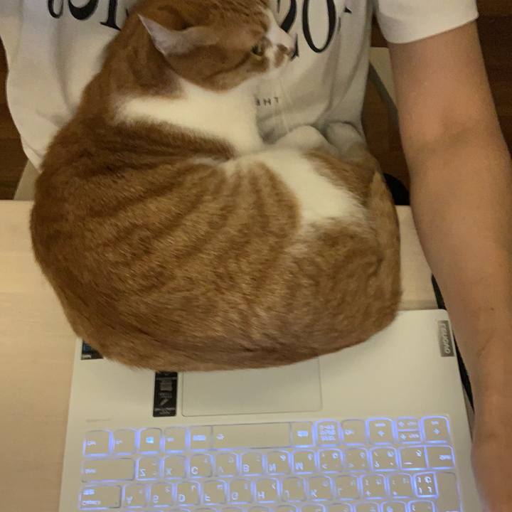 43c4c34f 92b3 454b 9bca ae688b8e4f23 1628939587280