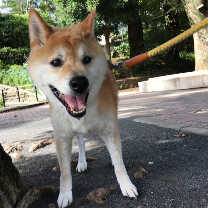 43c4cff5 1bae 472b 8c40 11e4d32f9f5e 1531177496458