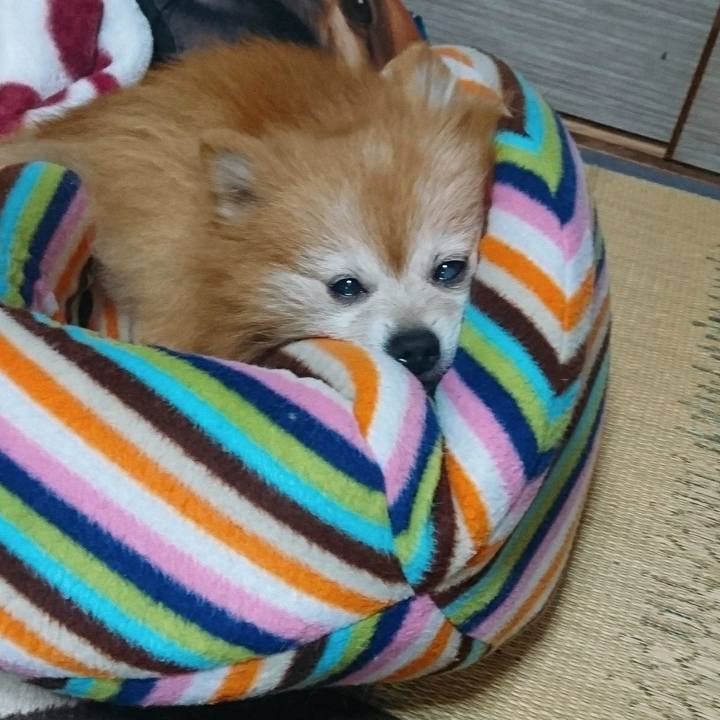 43c5235a e1d5 423d 9127 9f398c910cdb 1577057667583