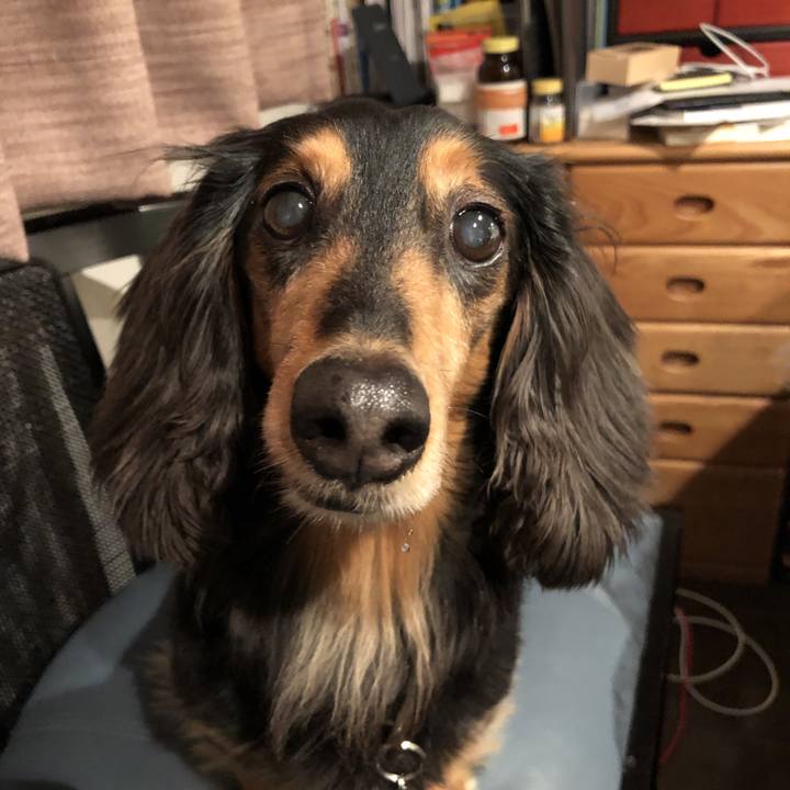 43c5462a 46f0 4db9 9af2 e786ec956431 1555682671102