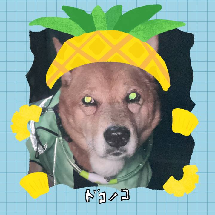 43c557be 3a87 41c7 910a 3720ec167ffc 1783768917506