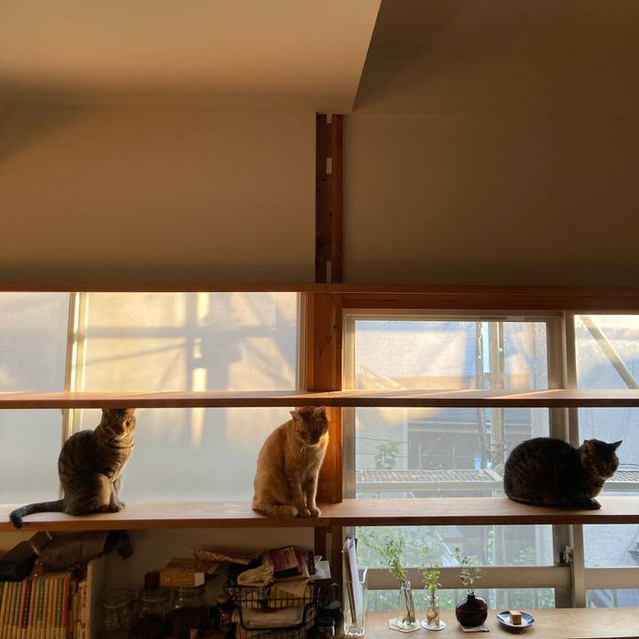 43c59ef6 9299 4055 8391 349a8ad4da17 1730677258598