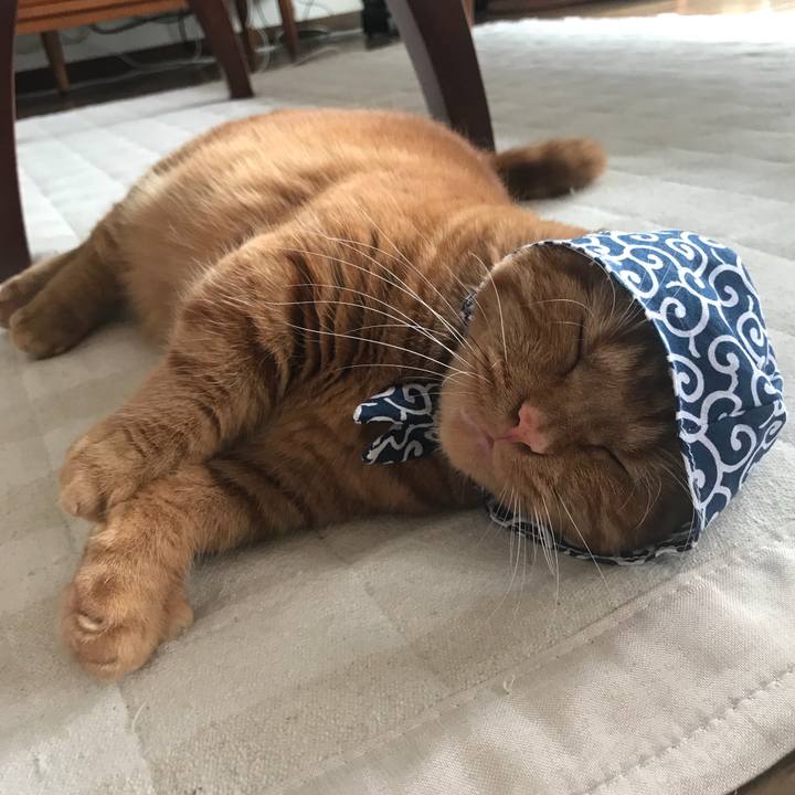 43c5a44c 38a1 490d 9125 b40620046b69 1536725350102