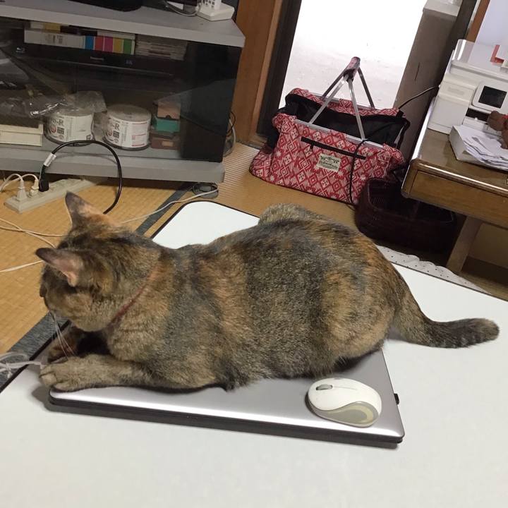 43c5c6df c764 49c3 aade 15992c054b22 1629676654518