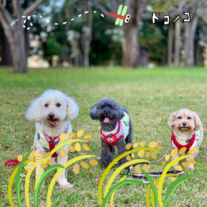 43c5ce5d 64a5 4b96 b3b8 283f2bdf1186 1761537411284