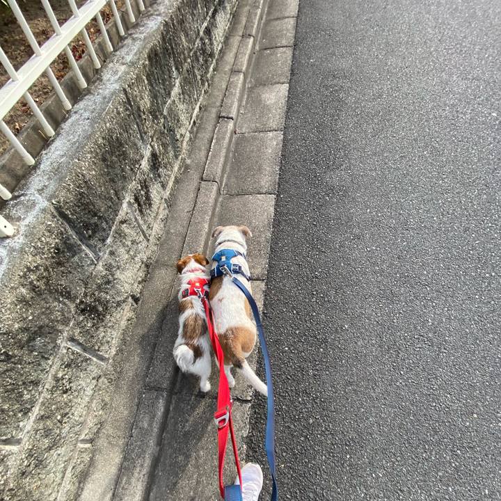 43c5d3eb 3682 4601 a615 672202950ff0 1644628148236