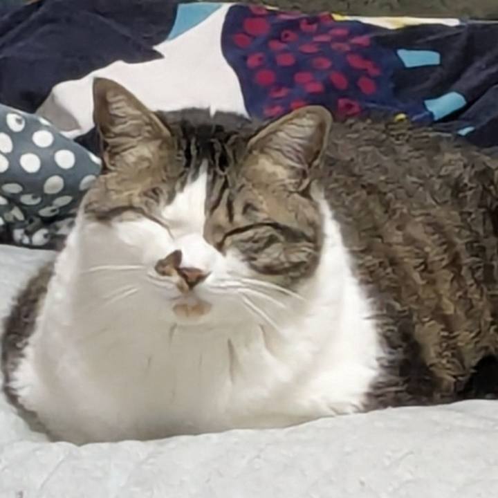 43c644ff 68f7 442b 987b 75dc6f342f80 1745529470076