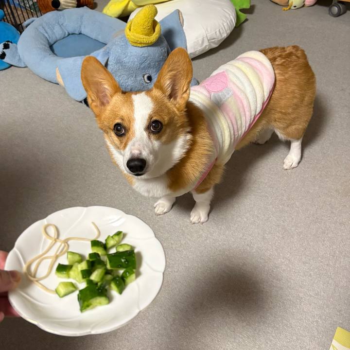 43c674ae ccf7 48e6 b2ea 8428161cde84 1767193696384