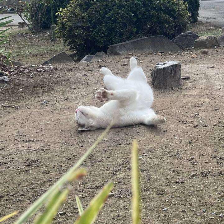 43c6ca64 db49 415a 8276 ca7e8f11e2d9 1695994112852