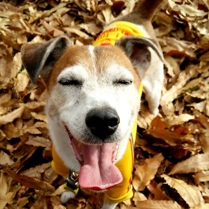 43c7006b 1547 4eb2 bbed 0664f402f2fb 1514637564496