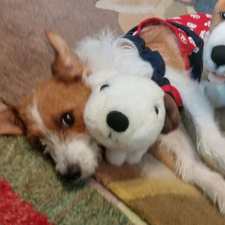 43c70bb7 679e 4210 b540 26d84e666920 1535850786902