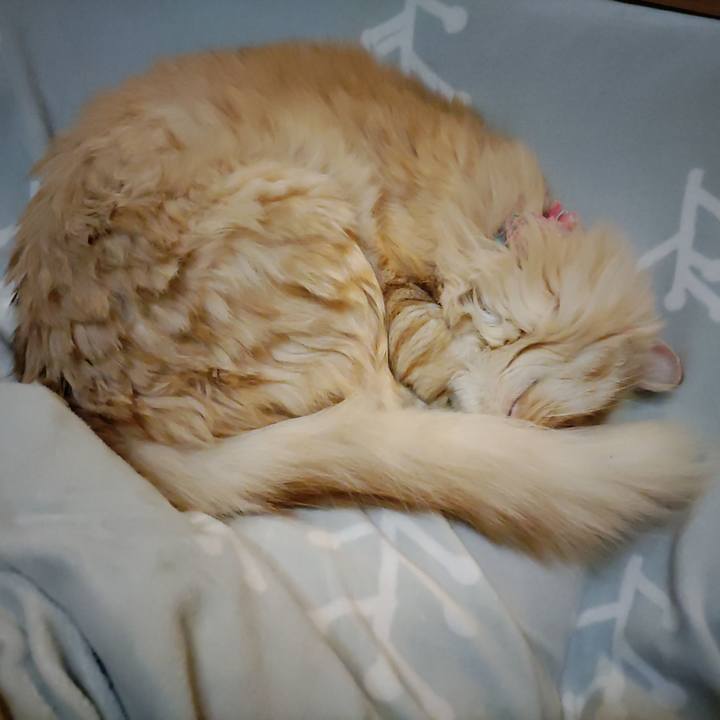 43c70e95 2dba 4974 afb4 5df7603da356 1673185592039