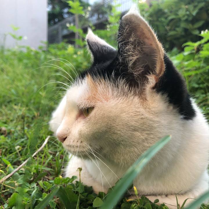 43c711ed 69fb 40bc aa30 0db271a52c85 1598652697564