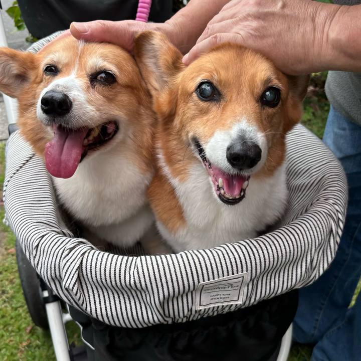 43c764af 710e 4233 93c3 ad4c374794e9 1749525611826