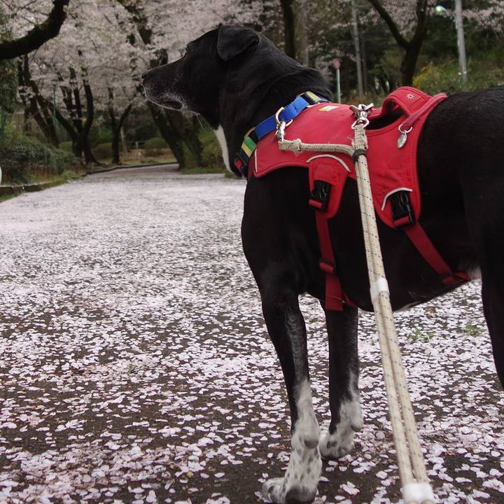 43c7699f 4f40 410b 9e30 6958da4fb472 1679881078197