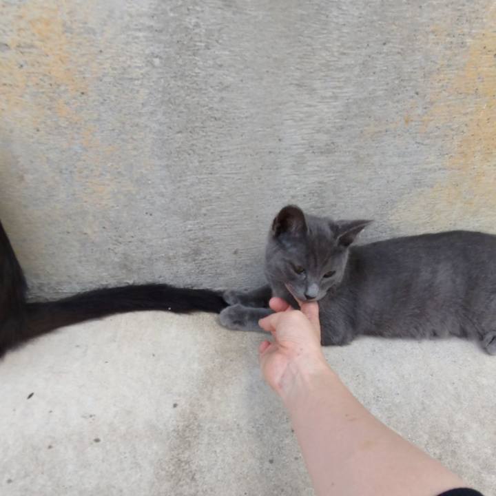 43c77ab7 f803 4664 b971 145716ffbbc8 1626572436217