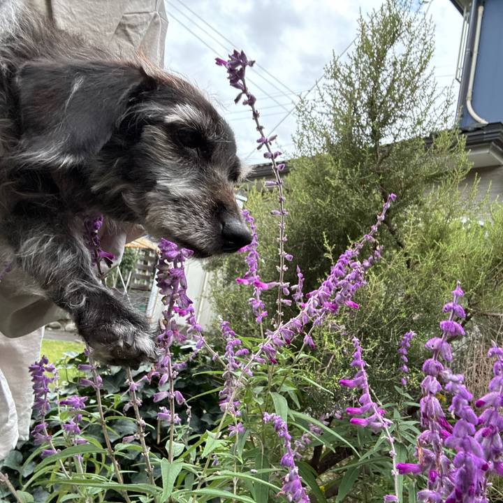 43c78831 b973 4d83 b4d1 a64b3471733d 1761348180934