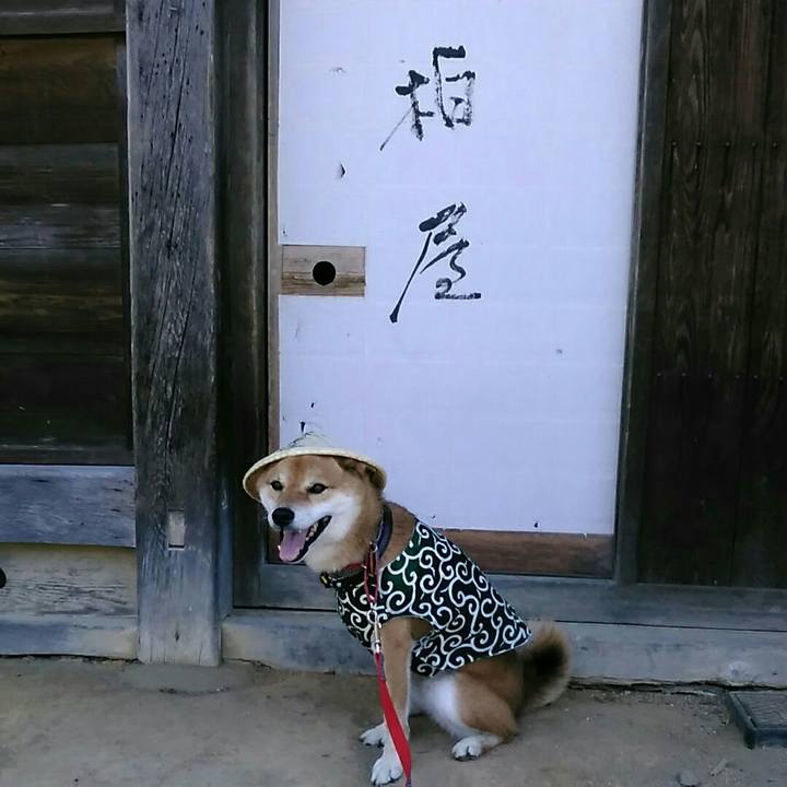 43c7a481 9ba3 4791 80d7 a89c31cf4071 1565268044615