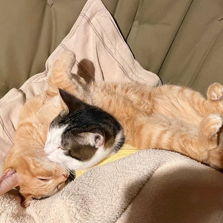 43c7a758 1324 47b2 873c 0c84aa8a9b5e 1774614423444