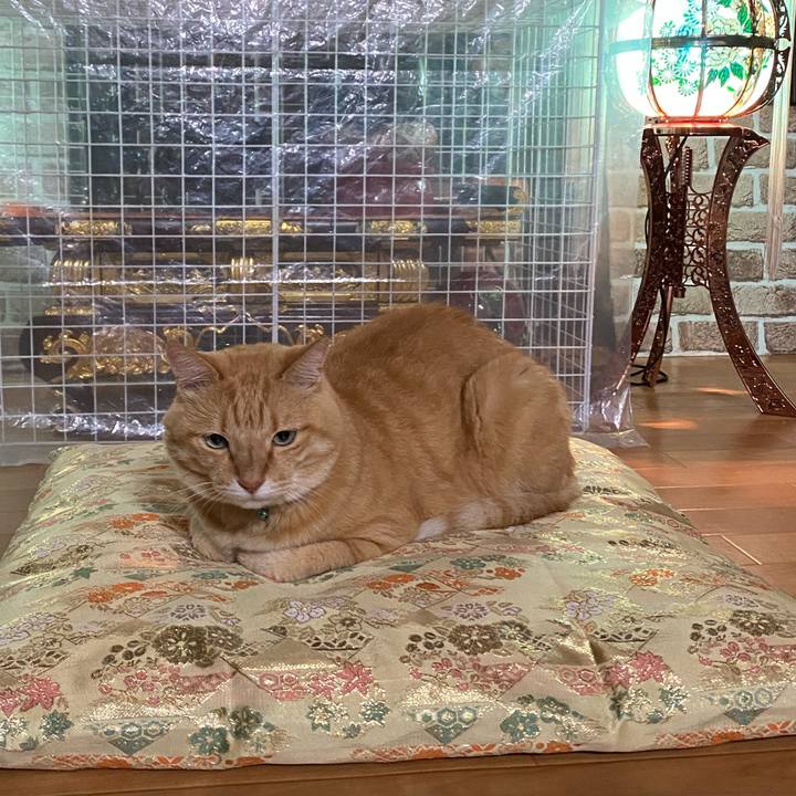 43c8072b 2594 410a 8bf9 5a20888b5688 1660484880721